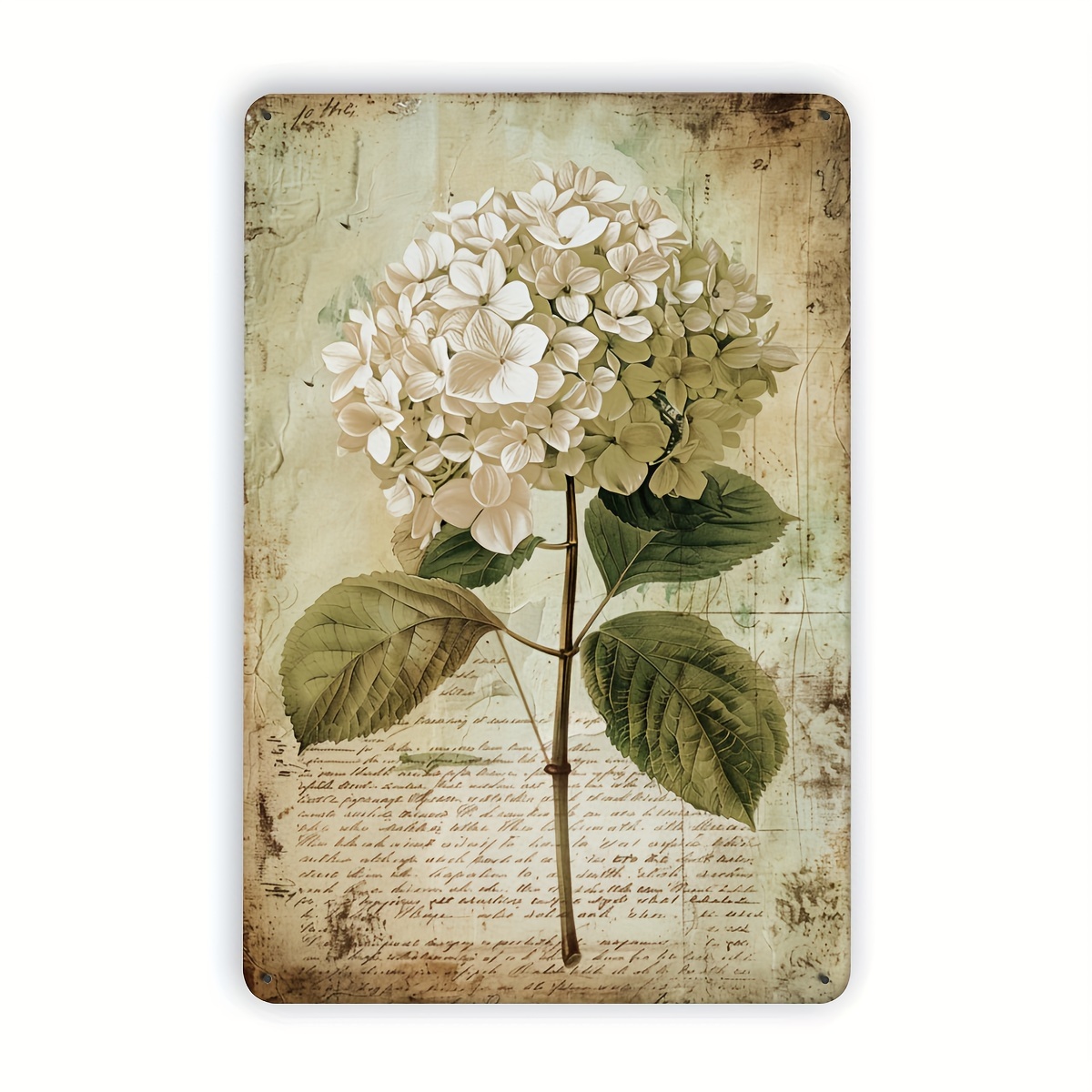 2D Flat, 2D Flat Hydrangea Vin - Home Gym In Garage ulasan dan harga
