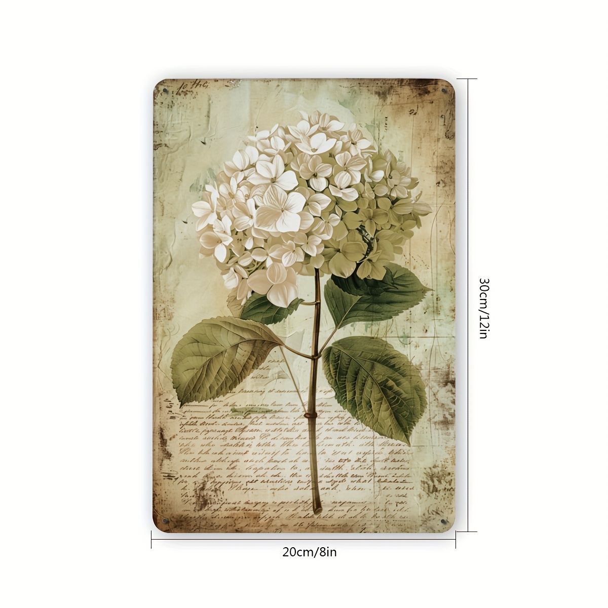 2D Flat, 2D Flat Hydrangea Vin - Home Gym In Garage ulasan dan harga