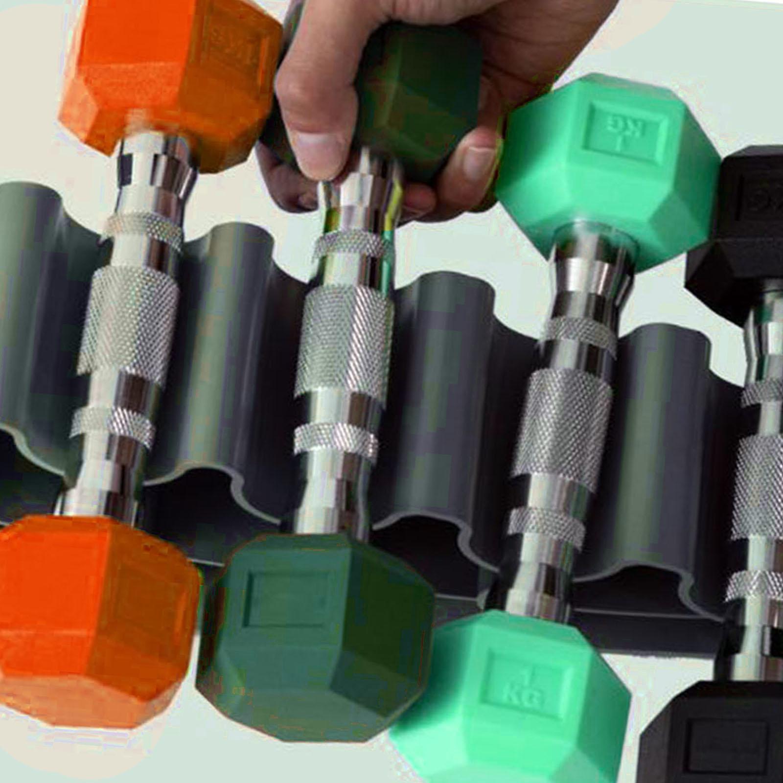 Plastic Dumbbell Rack Stand Pa - Home Gym For Small Spaces ulasan dan harga