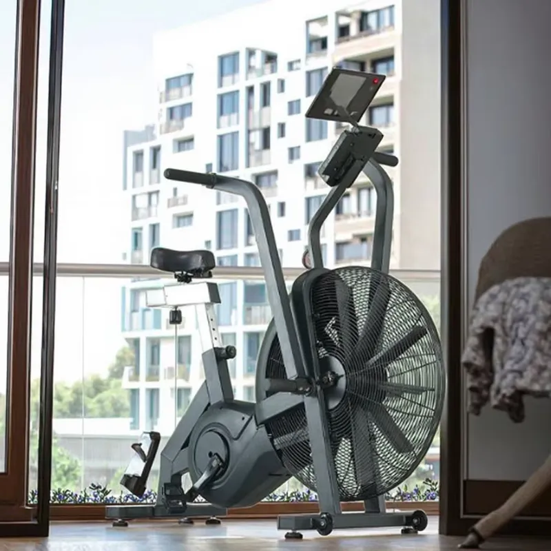 Heavy Duty Steel Frame Air Bik - Home Gym For Small Spaces ulasan dan harga