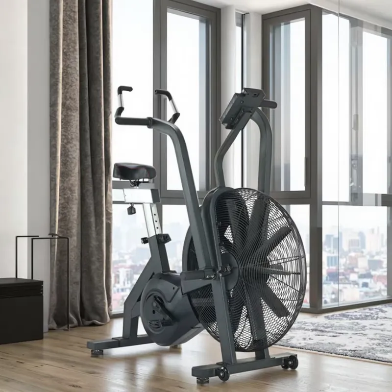 Heavy Duty Steel Frame Air Bik - Home Gym For Small Spaces ulasan dan harga